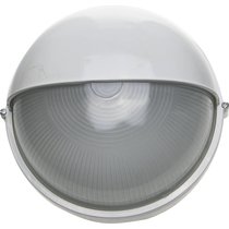 СВЕТОЗАР 100 Вт, IP54, влагозащищенный, белый, светильник уличный SV-57263-W
