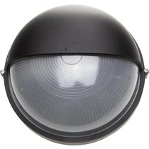 СВЕТОЗАР 100 Вт, IP54, влагозащищенный, черный, светильник уличный SV-57263-B